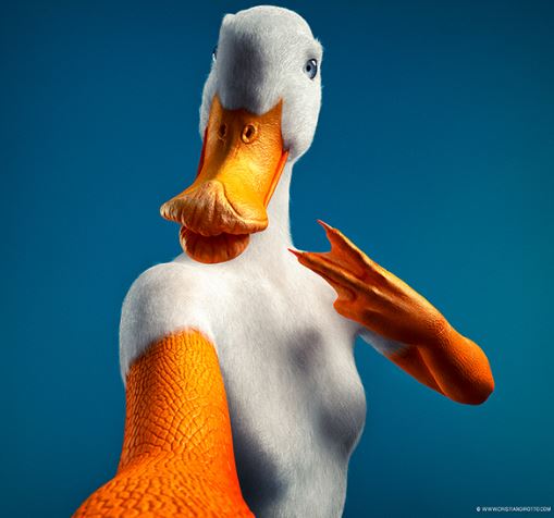 animal selfies duck