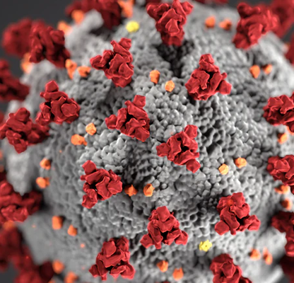 corona-virus-two
