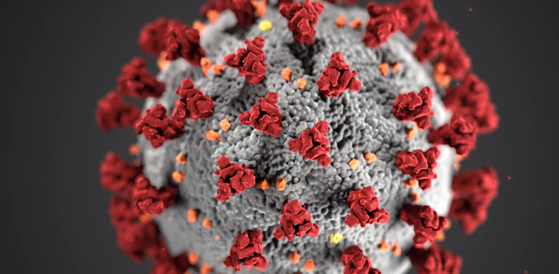 corona-virus-two