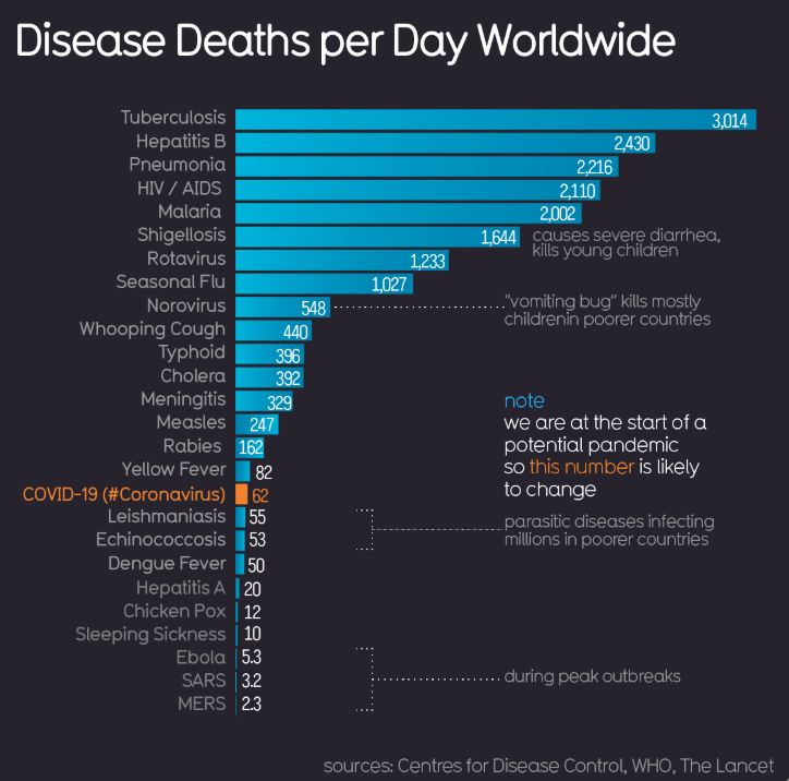 disease deaths per day
