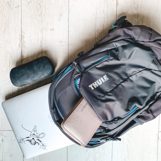Thule chronical backpack