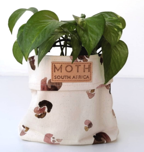 moth home planter buy local gift guide south africa 2020