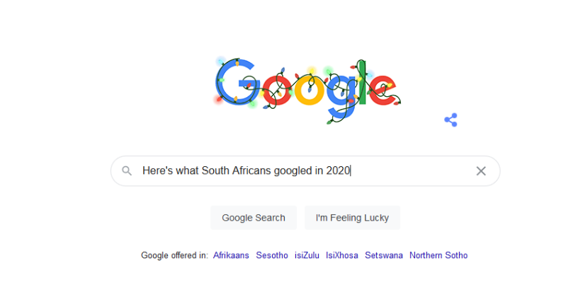 top searches 2020 south africa