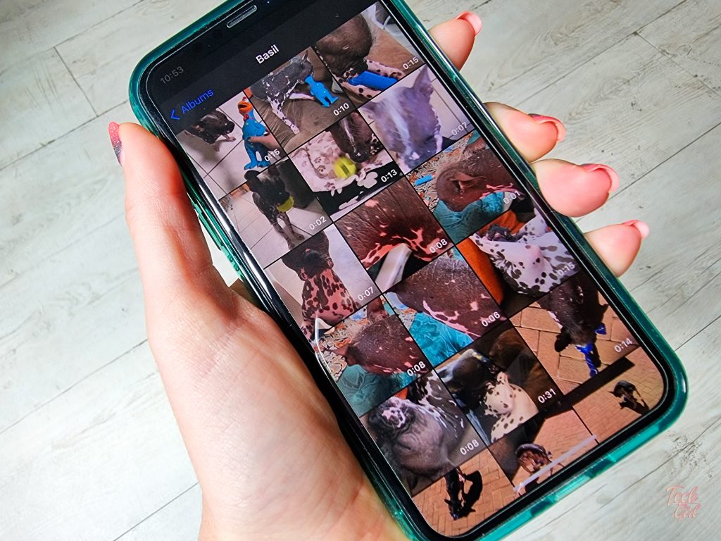 How to turn a video into a GIF on an iPhone