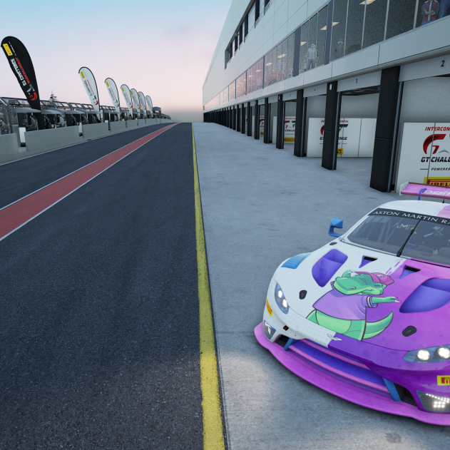 sim racing